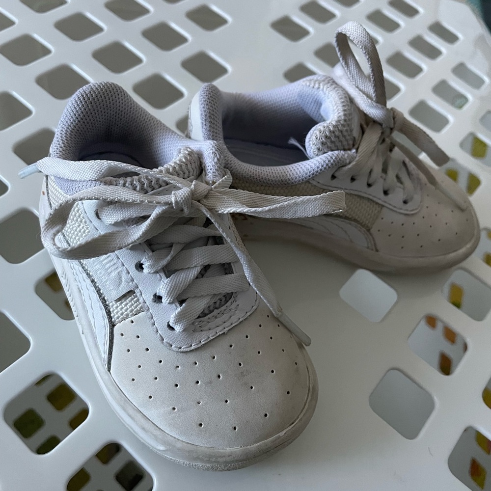Pumas - Picture 3 of 3